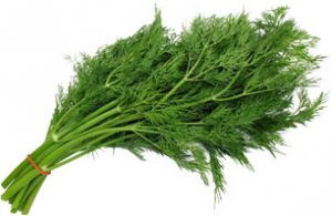 دعا و ختم سریع الاجابه برای باز شدن مرد بسته مجرب 0101-1-300x195 ادعيه و اذكار دستهبندی نشده دعا و ختم مجرب