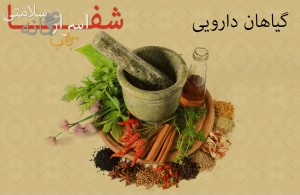 درمان با گیاهان دارویی