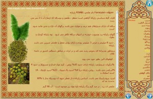 درمان با گیاهان دارویی